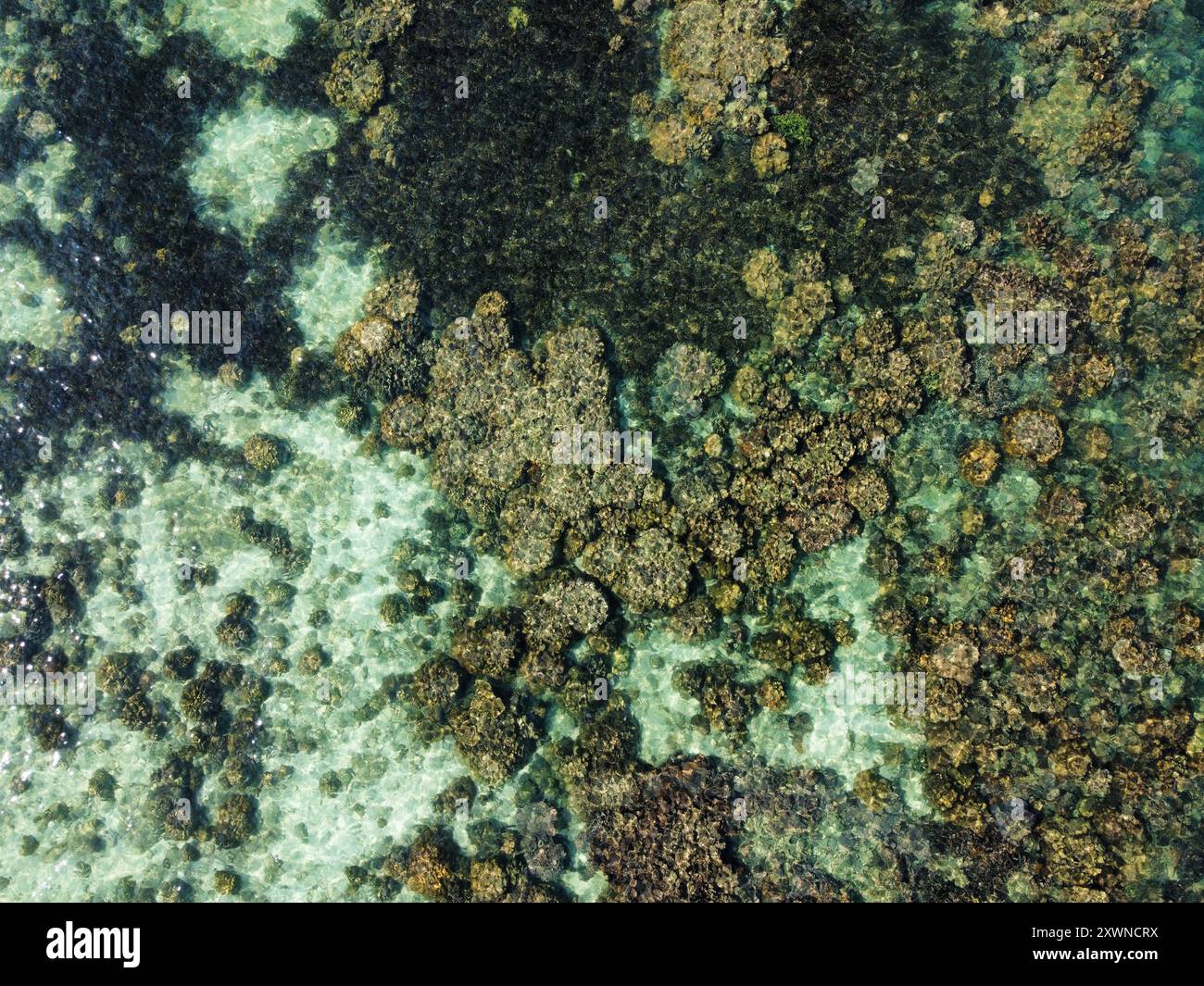 Vista aerea dei coralli a Ko Ngai durante la bassa marea con le rocce sulla superficie delle limpide acque di questa isola tropicale Foto Stock