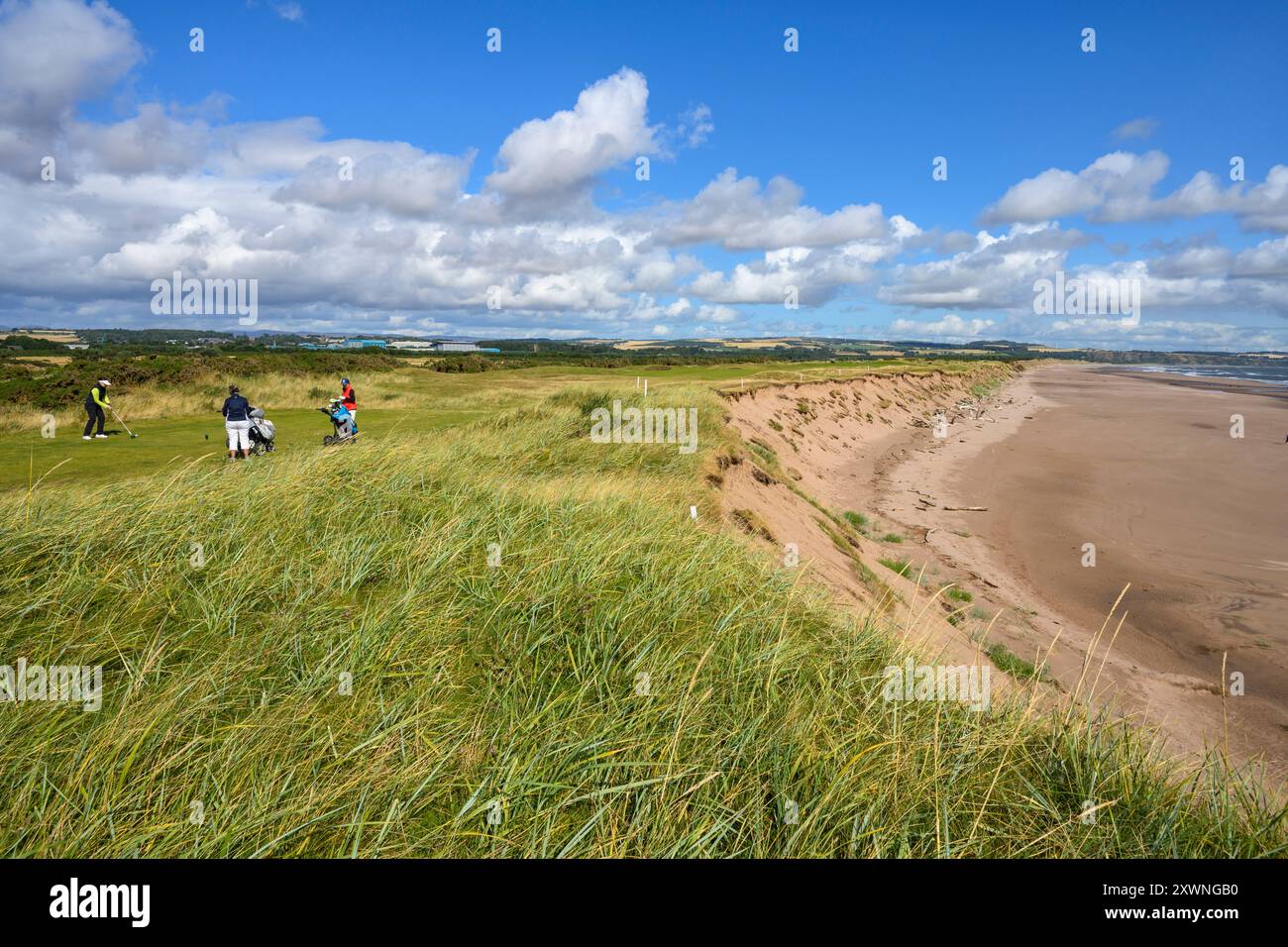 L'erosione costiera sulla spiaggia di Montrose sta mangiando nel campo da golf 1562 (il quinto più antico del mondo) Foto Stock