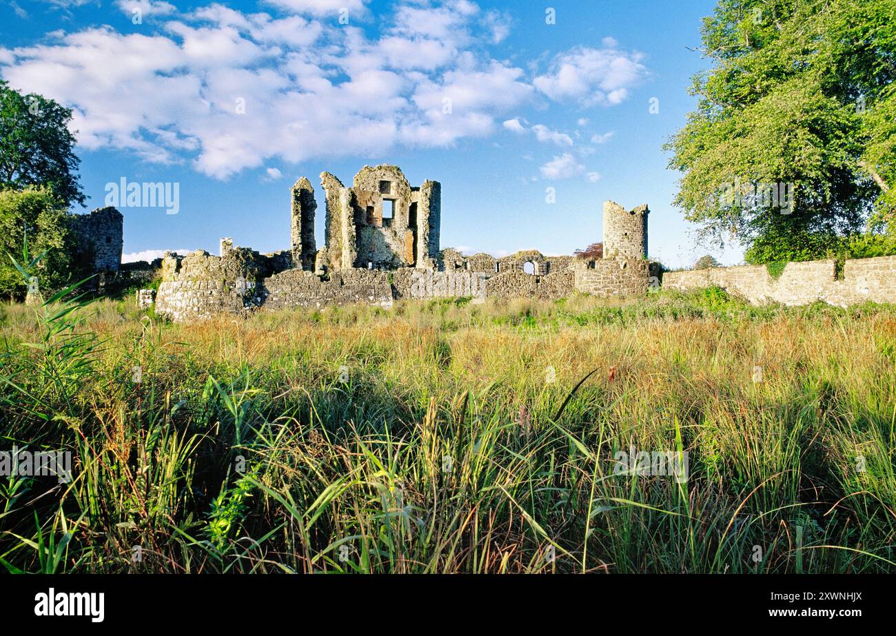 Rovine dell'Old Crom Castle sulla Crom Estate sull'Upper Lough Erne vicino a Enniskillen, contea di Fermanagh, Irlanda del Nord Foto Stock