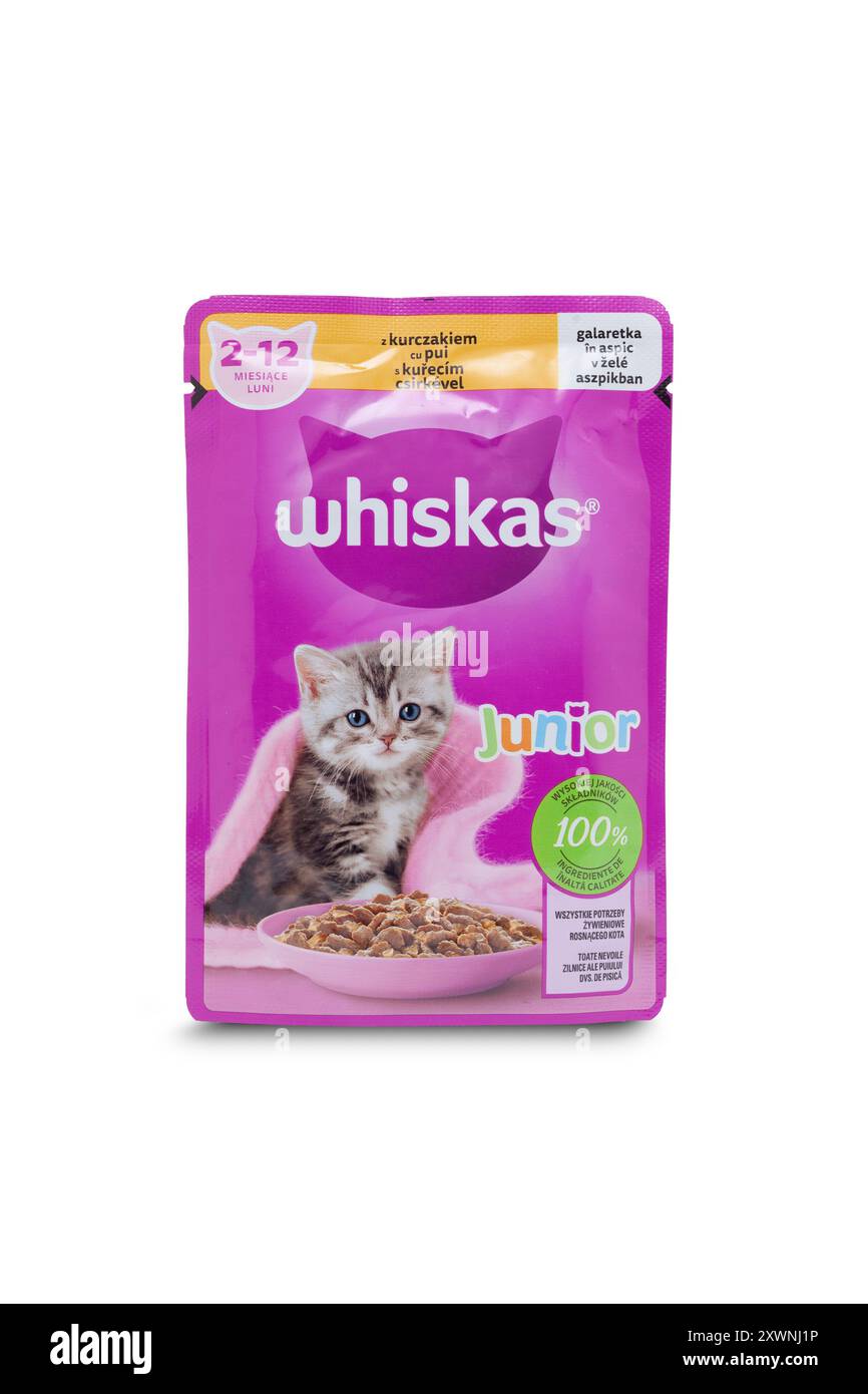 Chisinau, MOLDAVIA - 20 agosto 2024: Whiskas junior. Confezione viola di alimenti per animali per gatti con marchio Whiskas su sfondo bianco. Con tracciato di ritaglio Foto Stock