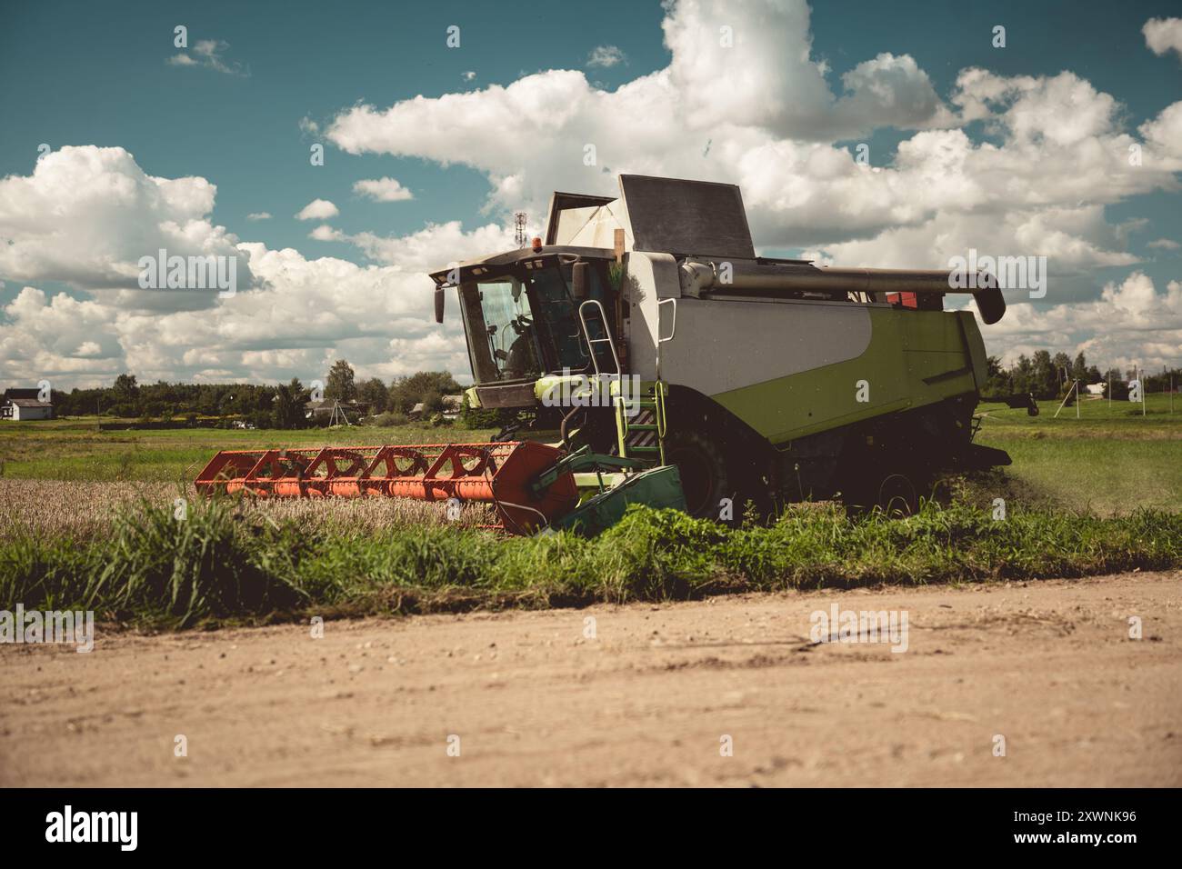 La trebbiatrice sta lavorando sul campo. La mietitrebbiatrice raccoglie grano Foto Stock