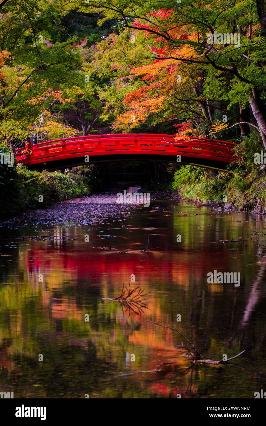 Ponte Rosso su un lago in un parco autunnale, Shizuoka, Giappone Foto Stock