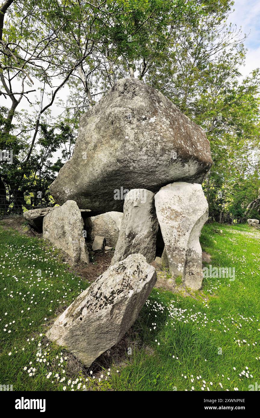 Goward Dolmen, chiamato anche Cloghmore Cromlech. Hilltown, County Down, Irlanda del Nord. Megalitici preistorici sepoltura camera Foto Stock