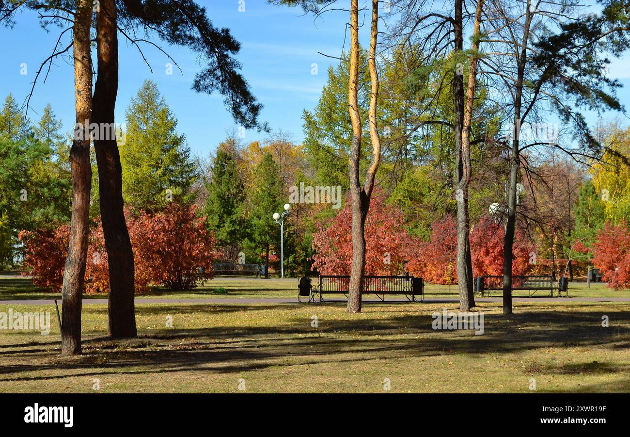 Un bellissimo paesaggio colorato in un parco autunnale in una giornata di sole Foto Stock