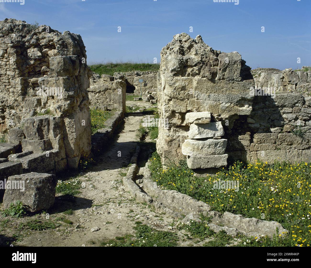 Siria. Ugarit (attuale Ras al-Shamra). Antica città portuale mediterranea risalente al Neolitico. Il suo periodo di splendore ebbe luogo durante l'età del bronzo, tra il 1450 a.C. e il 1180 a.C. Strada in città con un canale d'acqua. (Foto scattata prima della guerra civile siriana). Foto Stock