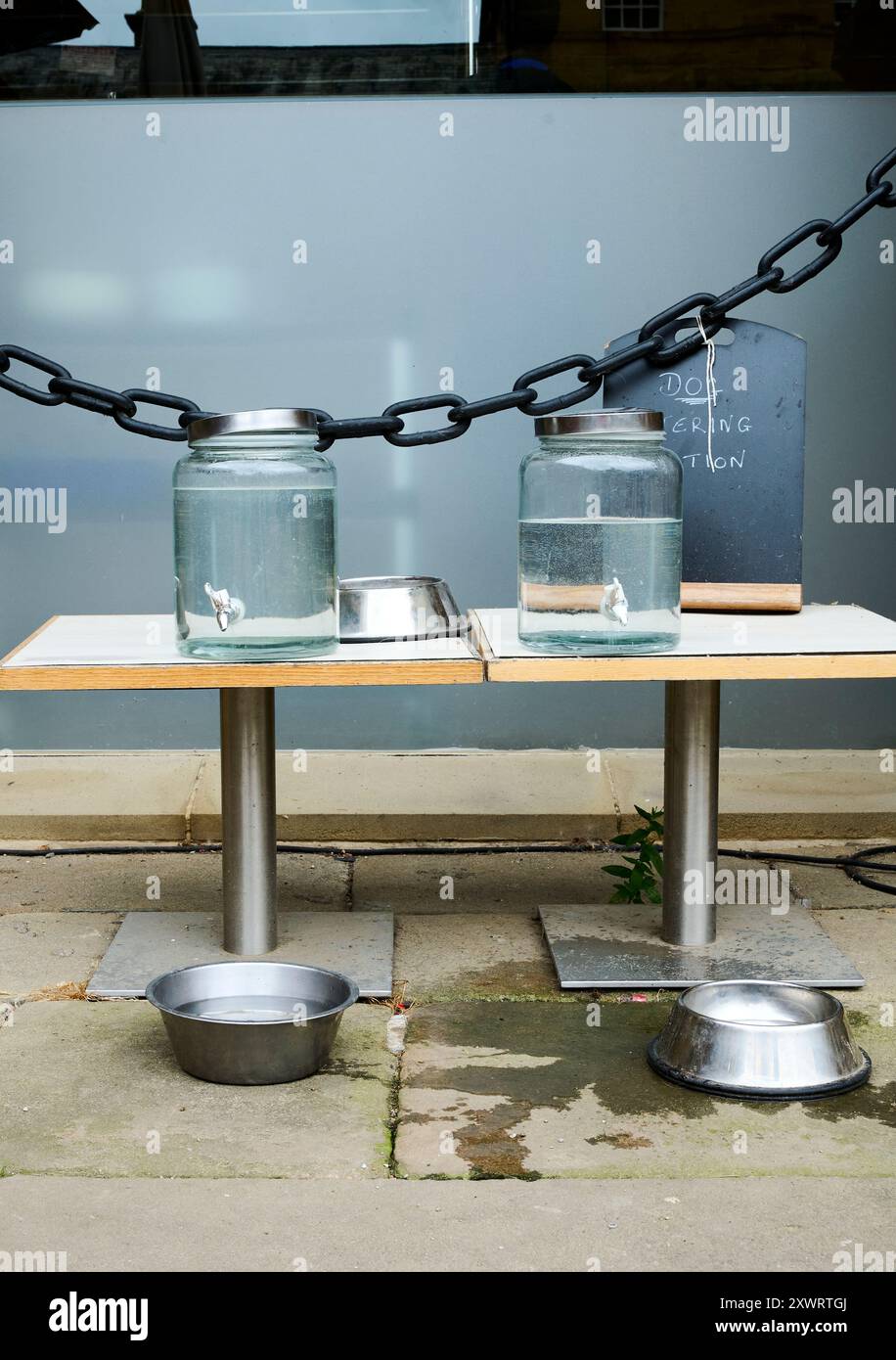 Stazione per l'irrigazione dei cani Foto Stock