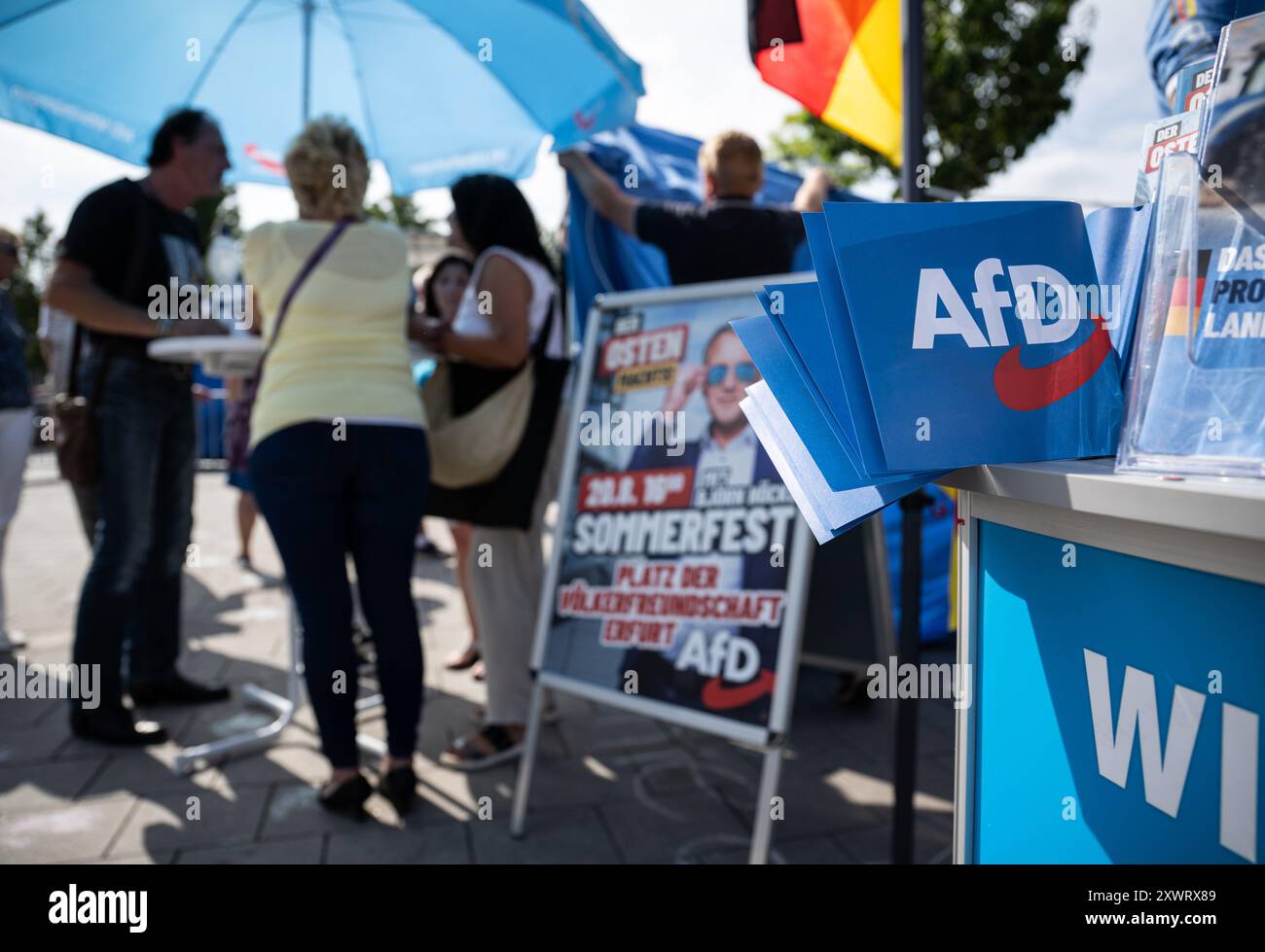 Erfurt, Germania. 20 agosto 2024. Il materiale per le elezioni AFD è in mostra a uno stand. Un nuovo parlamento statale sarà eletto in Turingia il 1° settembre. Crediti: Hannes P. Albert/dpa/Alamy Live News Foto Stock