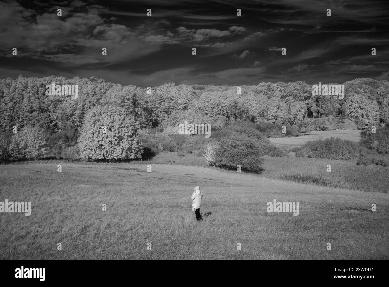 Una figura solitaria sorge in un ampio campo catturato a infrarossi, circondato da alberi e natura sotto un cielo spettacolare. Questa immagine evoca sentimenti di solitudine, introspezione e connessione con la natura. Foto Stock