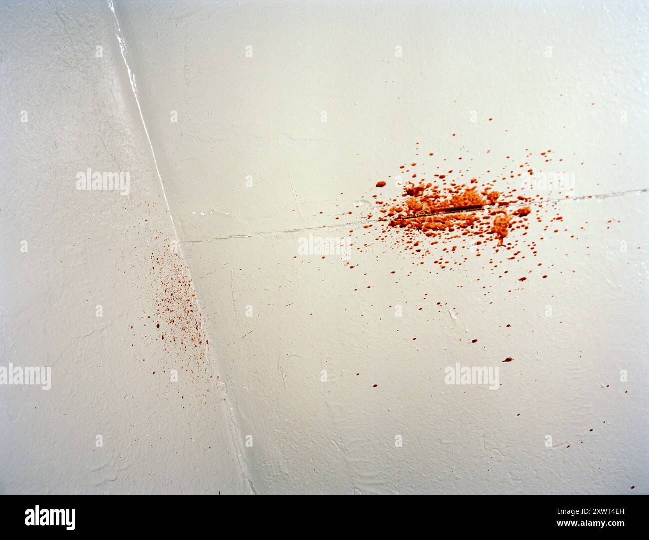 Un'immagine dettagliata di schizzi di sangue su una parete bianca. Questa immagine può simboleggiare temi come la violenza, il crimine, il caos e gli incidenti, ideale per l'uso in produzioni drammatiche o studi forensi. Foto Stock