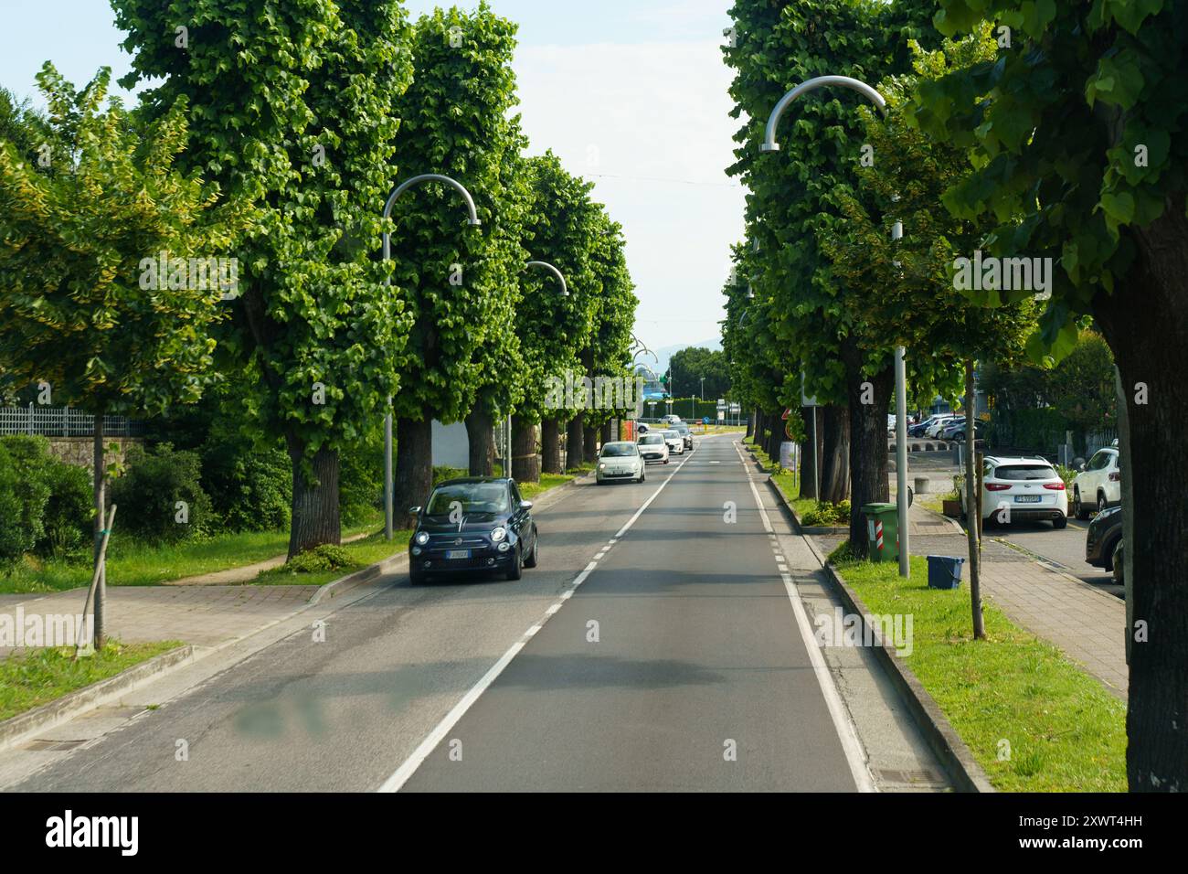 Rovato, Italia - 8 giugno 2023: Un viale tranquillo delimitato da alberi lussureggianti e auto parcheggiate sotto un cielo luminoso, invitante tranquillità e piacevoli spostamenti. Foto Stock