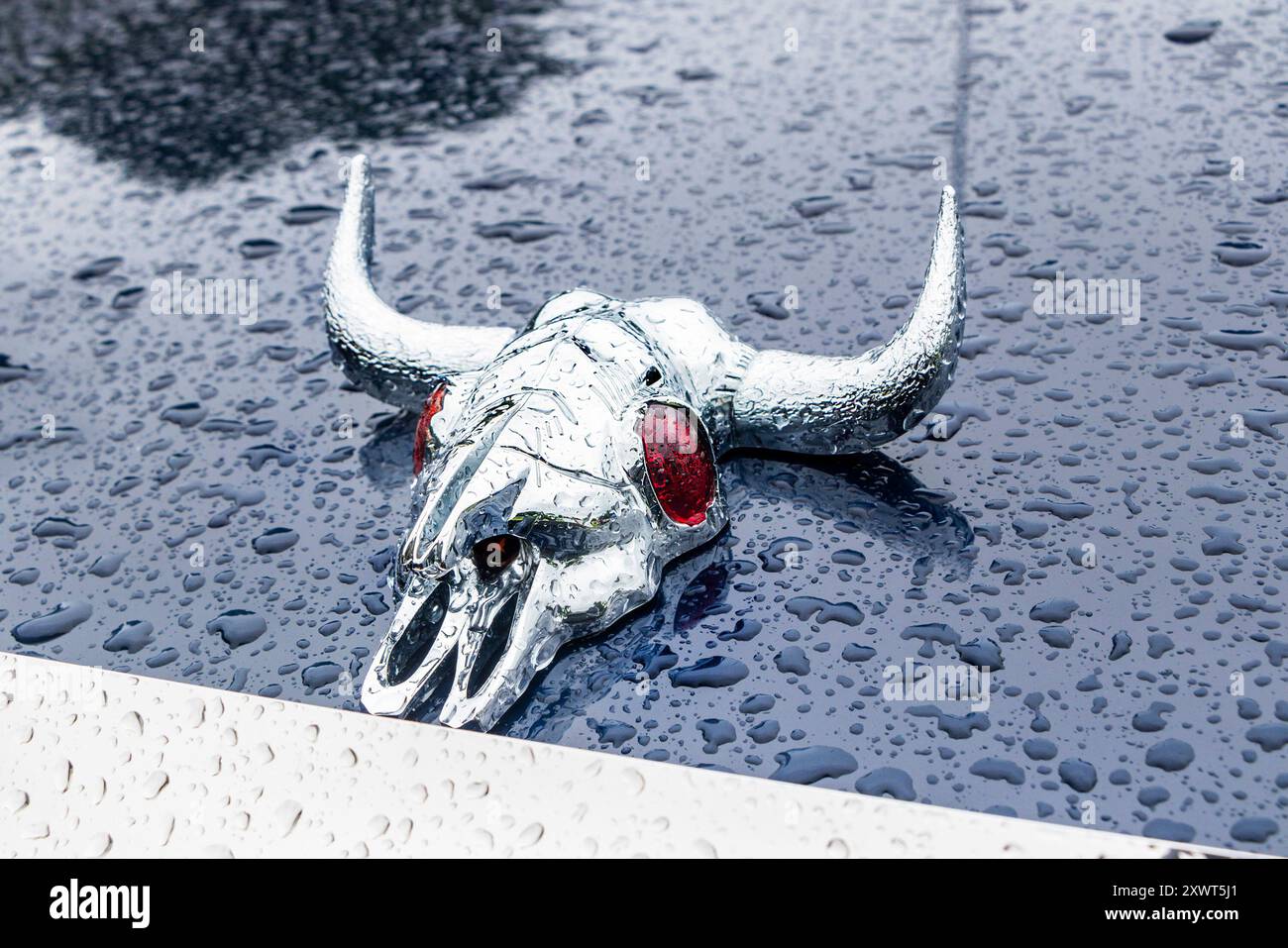 mascotte vintage con cofano auto cromato di toro longhorn con occhi rossi e gocce di pioggia sulla vernice blu Foto Stock
