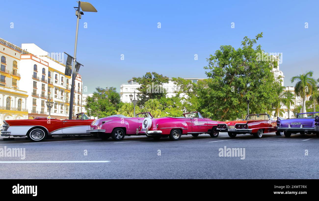 635 Red-rosa-violetto classico americano Almendron -L.to R.= Buick, Chevrolet, Ford, Dodge dal 1956-58-52-48- parcheggiato sul Paseo del Prado. L'Avana-Cuba Foto Stock