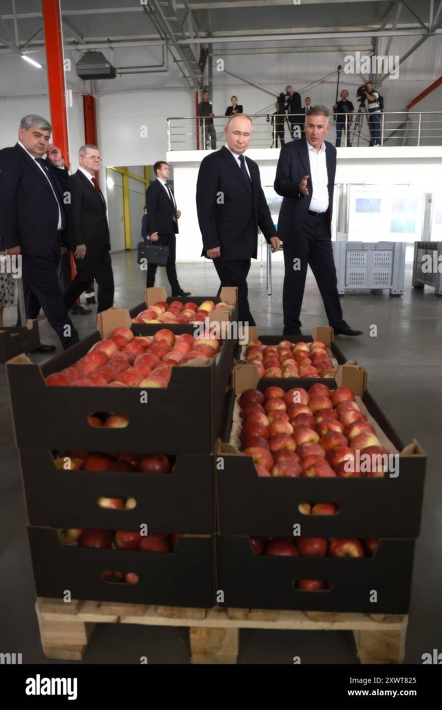 Germenchik, Russia. 20 agosto 2024. Il presidente russo Vladimir Putin, centro, visita l'impresa agricola Agro-07 accompagnato dal direttore della società Alim Geduev, destra, 20 agosto 2024 a Germenchik, Kabardino-Balkaria, Russia. Crediti: Vyacheslav Prokofyev/piscina del Cremlino/Alamy Live News Foto Stock