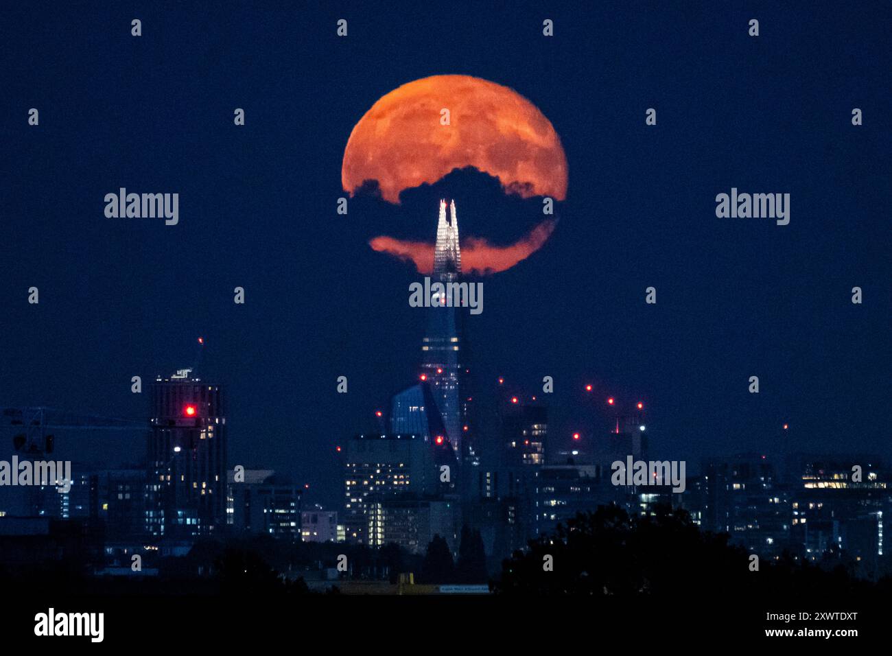 Londra, Regno Unito. 20 agosto 2024. Meteo nel Regno Unito – Una luna gibbosa in calo del 99% sorge dietro lo Shard e lo skyline della capitale, il giorno dopo la luna piena di agosto. Conosciuta come la Luna di Sturgeon secondo l'Almanacco dell'Old Farmer a causa del gran numero di pesci storione che sono stati trovati nei grandi Laghi in Nord America in questo periodo dell'anno, la luna piena di agosto è anche conosciuta come una "superluna blu" che appare più luminosa e più grande in quanto sarà nel punto più vicino alla Terra nella sua orbita. Crediti: Stephen Chung / Alamy Live News Foto Stock