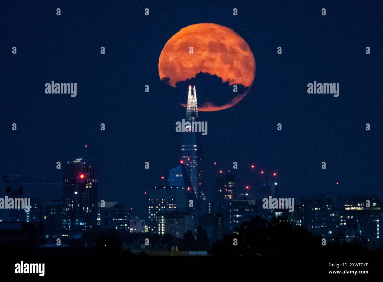 Londra, Regno Unito. 20 agosto 2024. Meteo nel Regno Unito – Una luna gibbosa in calo del 99% sorge dietro lo Shard e lo skyline della capitale, il giorno dopo la luna piena di agosto. Conosciuta come la Luna di Sturgeon secondo l'Almanacco dell'Old Farmer a causa del gran numero di pesci storione che sono stati trovati nei grandi Laghi in Nord America in questo periodo dell'anno, la luna piena di agosto è anche conosciuta come una "superluna blu" che appare più luminosa e più grande in quanto sarà nel punto più vicino alla Terra nella sua orbita. Crediti: Stephen Chung / Alamy Live News Foto Stock