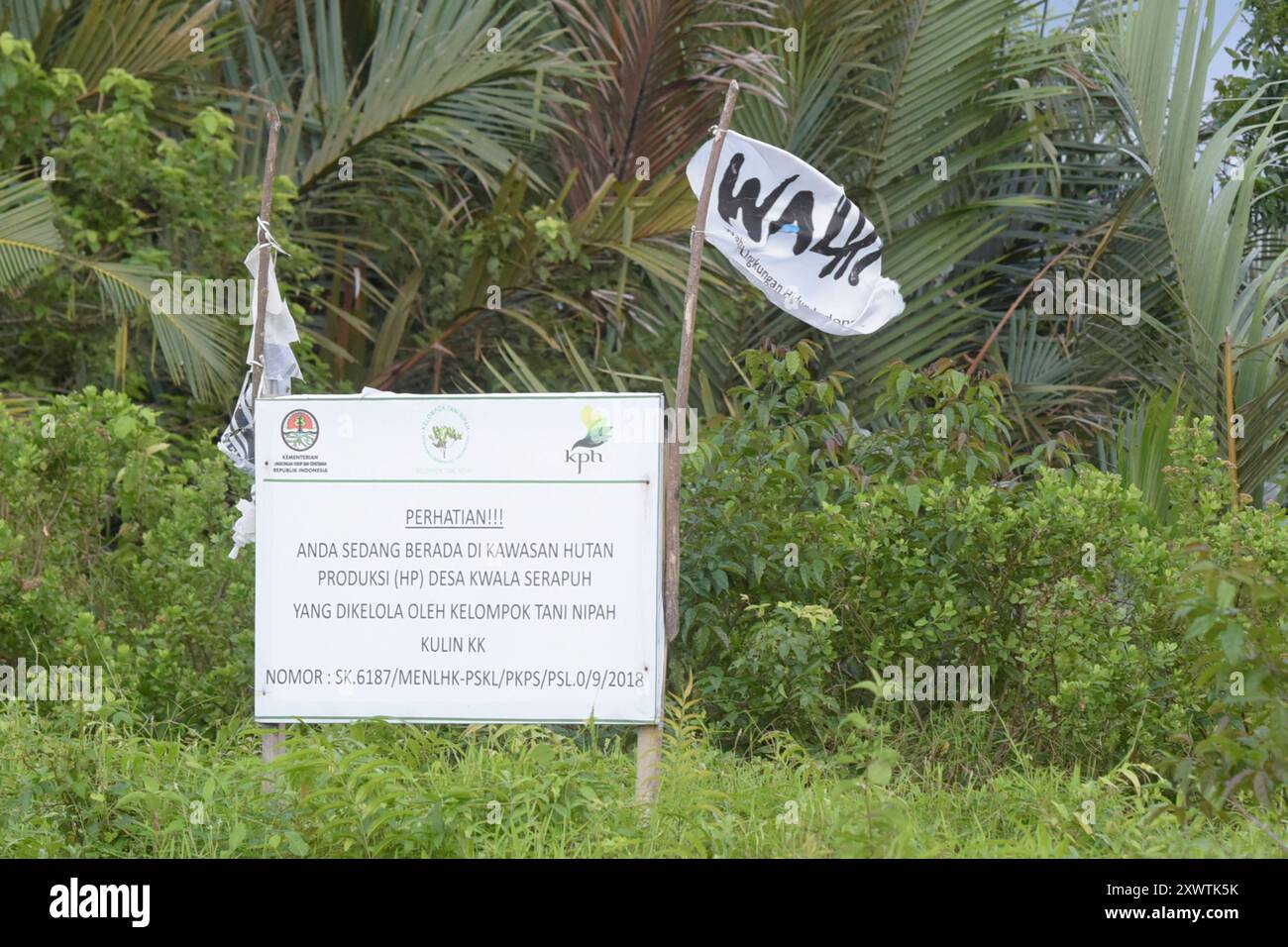 Di Umweltorganization WALHI konnte verhindern, dass dieses Stück Land am Ufer des Sungai Tanjung Pua von Konzernen angeeignet wird, um darauf Ölpalmen anzupflanzen. Abkürzung WALHI bedeutet: Wahana Lingkungan Hidup Indonesia Indonesisches Forum für Umwelt Gründung: Auf dem Treffen vom 13. - 15. Oktober 1980 im YTKI-Gebäude - Teilnehmer: 130 aus 78 Organisationen. WALHI ist die älteste Umweltorganization Indonesiens. *** L'organizzazione ambientale WALHI è stata in grado di impedire che questo pezzo di terra sulle rive di Sungai Tanjung Pua venisse appropriato dalle aziende per piantare olio di palme Abbre Foto Stock