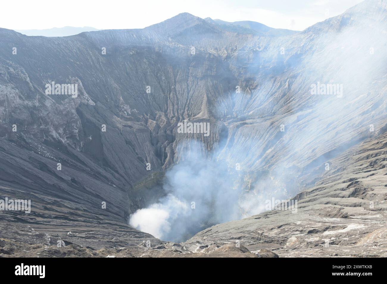 Blick vom Kraterrand in den Krater des Vulkans Bromo. Der 2329 m hohe Vulkan ist der jüngste Krater des Tengger-Vulkan-Massivs und einer der aktivsten Vulkane auf Java. BEI einem Ausbruch alle 8:00. Juni 2004 starben zwei Menschen. 23:00. Novembre 2010 begann eine neue Eruptionsphase, ein Umkreis von 2 Kilometern um den Krater wurde zeitweise gesperrt. Der in der Nähe liegende Flughafen Malang wurde zu besonderer Vorsicht aufgerufen, und an die Einwohner der Region wurden Staubmasken verteilt. Vom 12. Dal 2015 al 12 novembre. Novembre 2016 brach der Vulkan erneut aus. Zweimal musste in dieser Zeit der Foto Stock