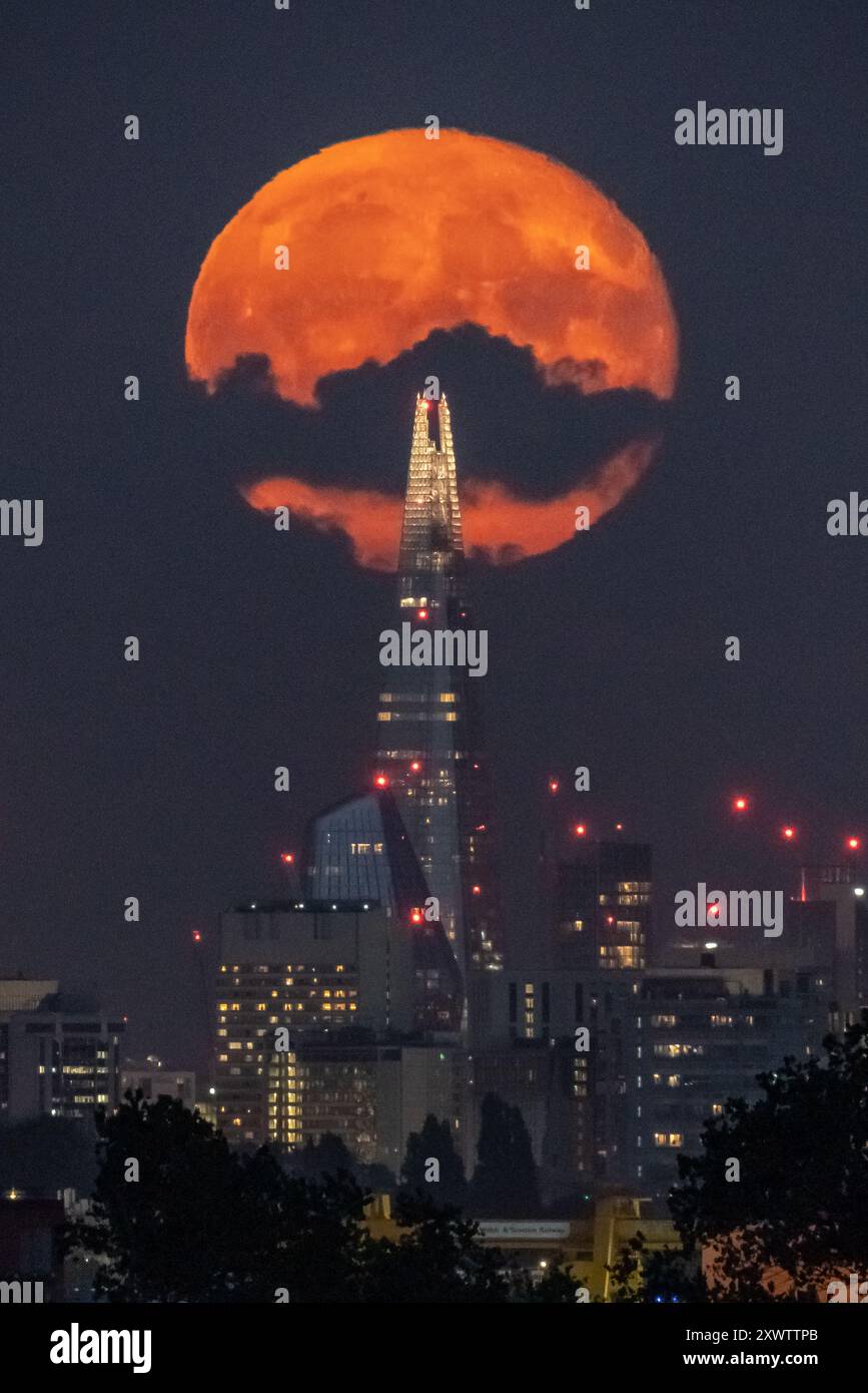 Londra, Regno Unito. 20 agosto 2024. Meteo nel Regno Unito: La Sturgeon Blue Supermoon (Gibbous in declino) al 99% sorge nei pressi dell'edificio del grattacielo Shard sopra la città martedì sera. Tradizionalmente chiamato Sturgeon Moon perché lo storione gigante dei grandi Laghi e del lago Champlain erano più facilmente catturati durante questa parte dell'estate," secondo l'Almanacco dell'Old Farmer. Crediti: Guy Corbishley/Alamy Live News Foto Stock