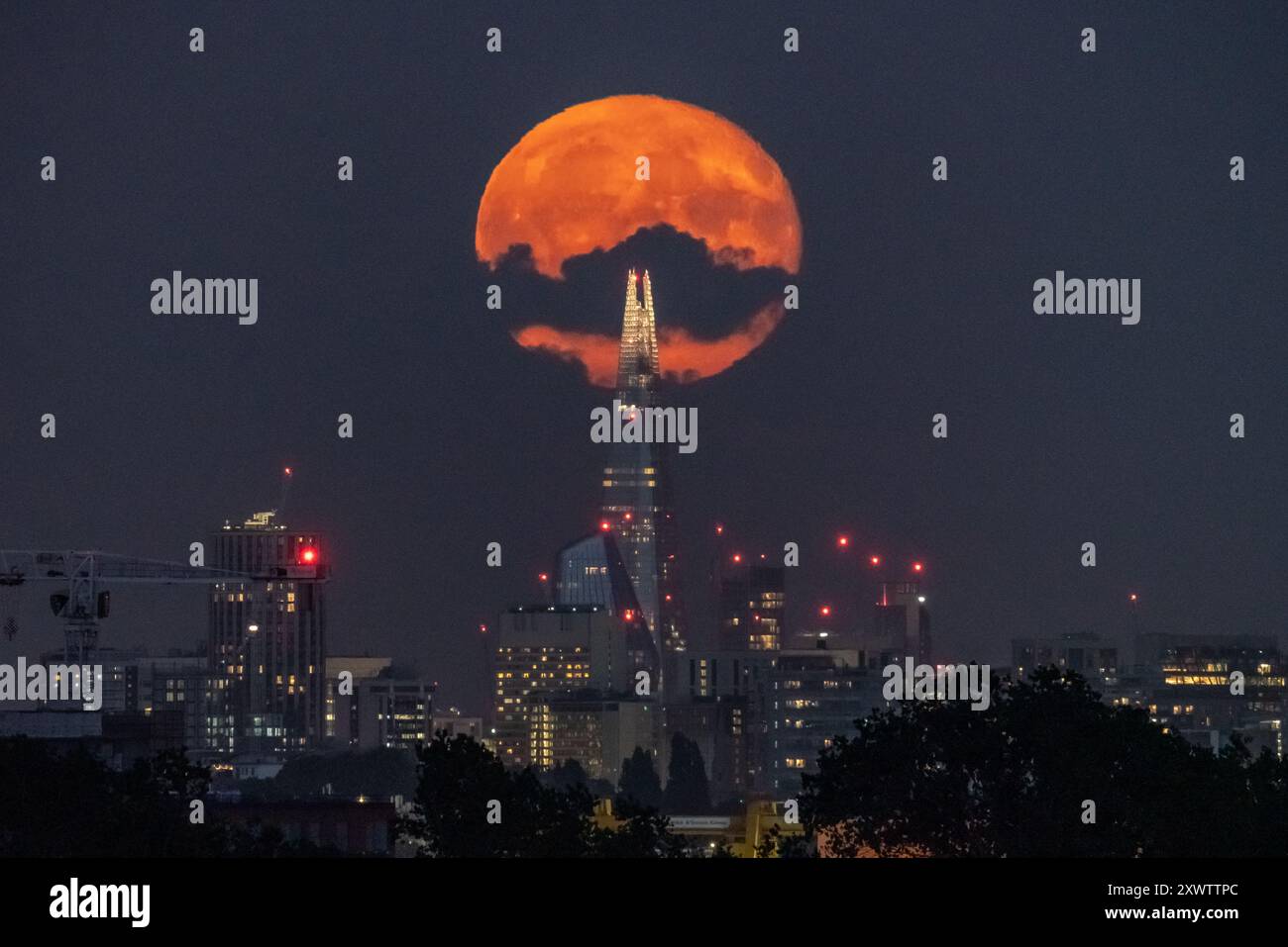 Londra, Regno Unito. 20 agosto 2024. Meteo nel Regno Unito: La Sturgeon Blue Supermoon (Gibbous in declino) al 99% sorge nei pressi dell'edificio del grattacielo Shard sopra la città martedì sera. Tradizionalmente chiamato Sturgeon Moon perché lo storione gigante dei grandi Laghi e del lago Champlain erano più facilmente catturati durante questa parte dell'estate," secondo l'Almanacco dell'Old Farmer. Crediti: Guy Corbishley/Alamy Live News Foto Stock