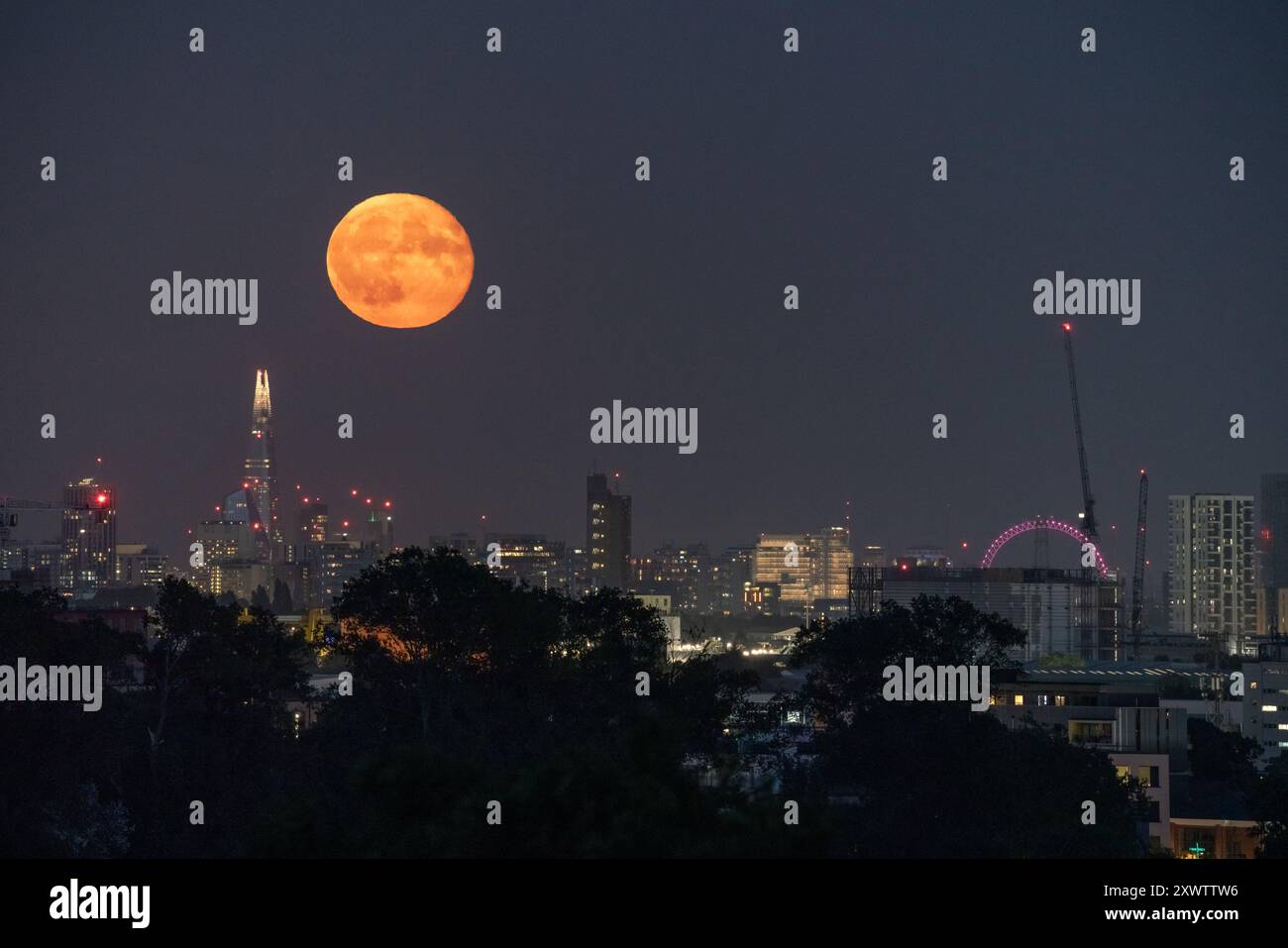Londra, Regno Unito. 20 agosto 2024. Meteo nel Regno Unito: La Sturgeon Blue Supermoon (Gibbous in declino) al 99% sorge nei pressi dell'edificio del grattacielo Shard sopra la città martedì sera. Tradizionalmente chiamato Sturgeon Moon perché lo storione gigante dei grandi Laghi e del lago Champlain erano più facilmente catturati durante questa parte dell'estate," secondo l'Almanacco dell'Old Farmer. Crediti: Guy Corbishley/Alamy Live News Foto Stock