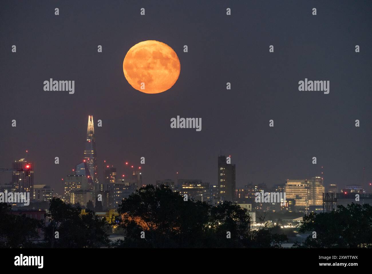 Londra, Regno Unito. 20 agosto 2024. Meteo nel Regno Unito: La Sturgeon Blue Supermoon (Gibbous in declino) al 99% sorge nei pressi dell'edificio del grattacielo Shard sopra la città martedì sera. Tradizionalmente chiamato Sturgeon Moon perché lo storione gigante dei grandi Laghi e del lago Champlain erano più facilmente catturati durante questa parte dell'estate," secondo l'Almanacco dell'Old Farmer. Crediti: Guy Corbishley/Alamy Live News Foto Stock