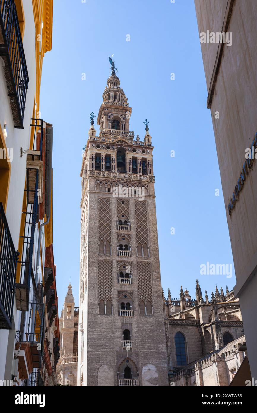 La Giralda, l'iconico campanile moresco della Cattedrale di Siviglia (Catedral de Sevilla), una chiesa cattolica ed ex moschea, Andalusia, Spagna. Foto Stock