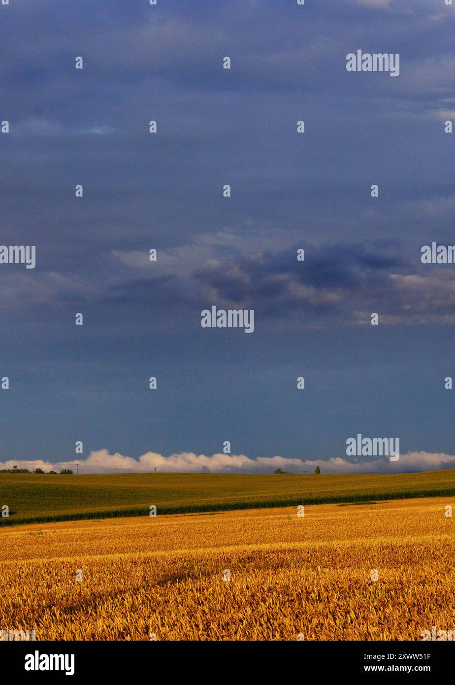 Paesaggi agricoli nella Repubblica ceca centrale. Foto Stock