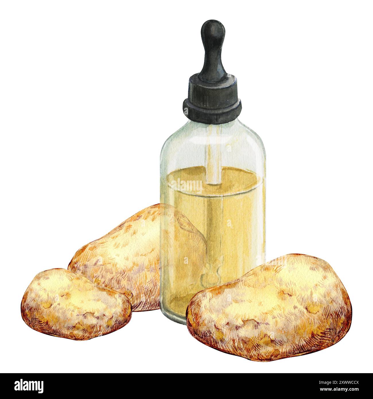 Ambergris, ambre gris, ambergrease o ambra grigia. Illustrazione acquerello. Un ingrediente nei profumi e nelle composizioni profumate. Isolato sulla schiena bianca Foto Stock