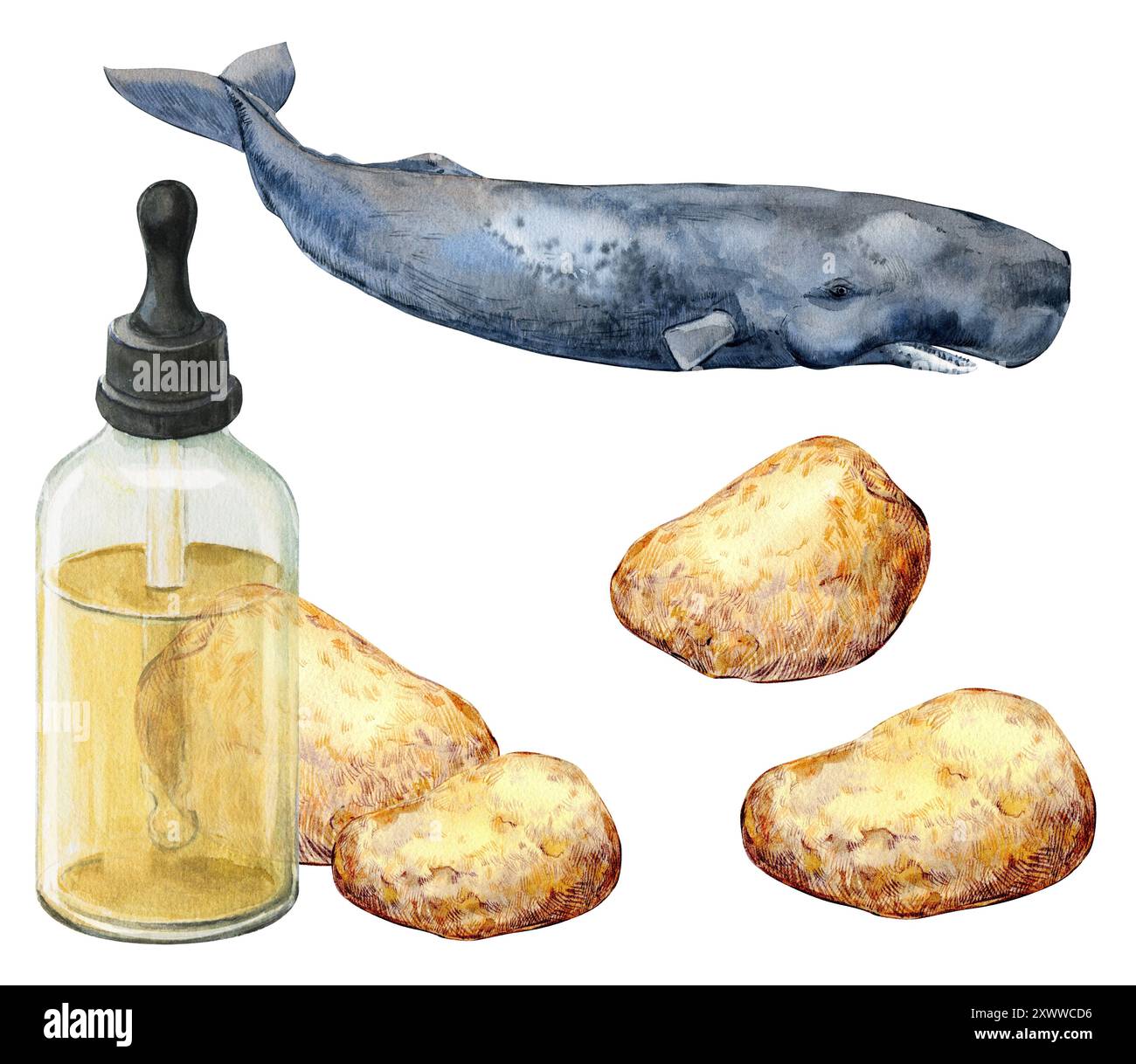 Ambergris, ambre gris, ambergrease o ambra grigia. Illustrazione acquerello. Un ingrediente prezioso e raro nei profumi e nelle composizioni aromatiche. Diges Foto Stock