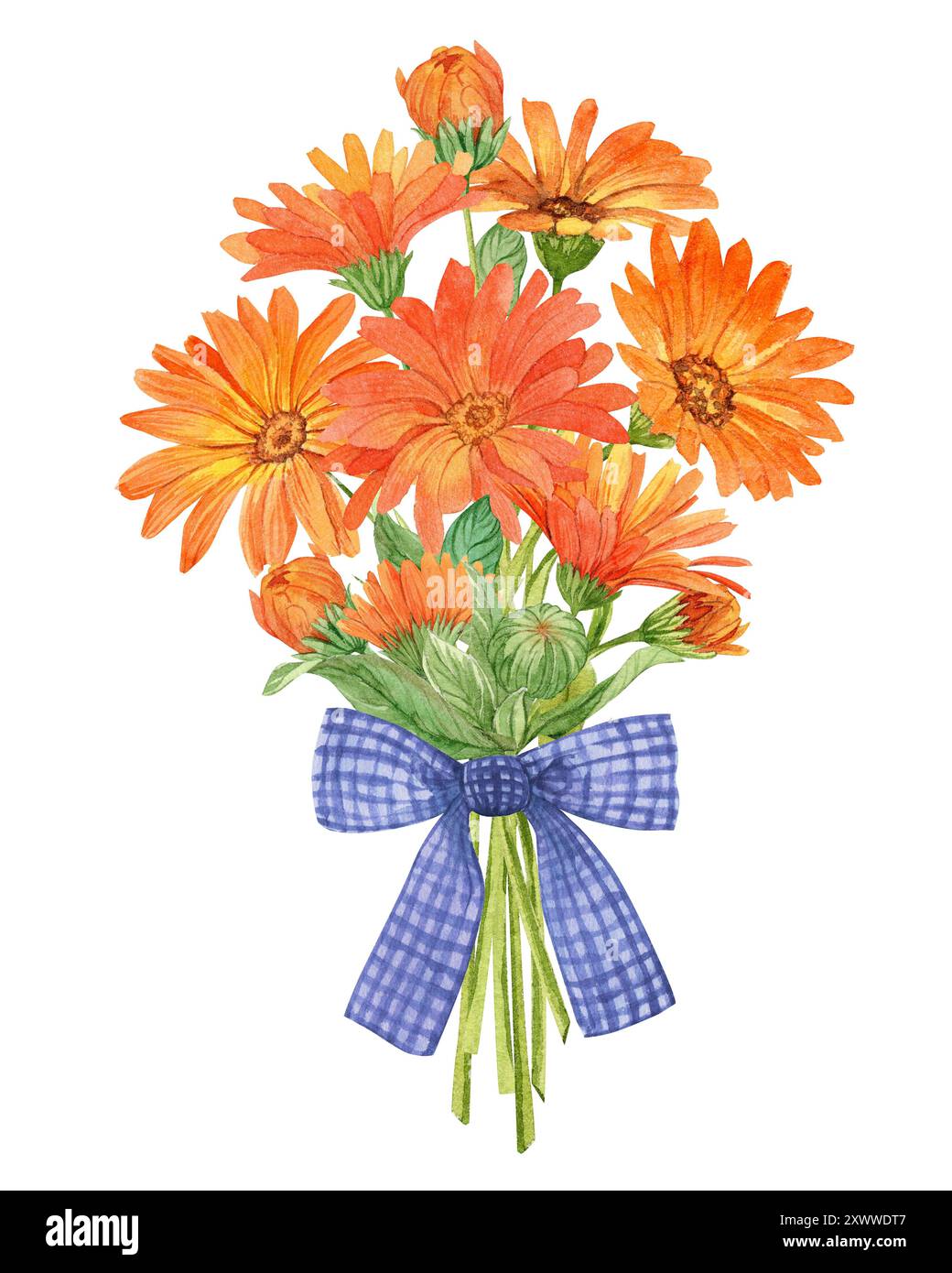 Nastro Carta Floreale DECORA - Verde Scuro 2 Rotoli 1/2 X 27.4m - Per Bouquet E Decorazioni - Foto 8