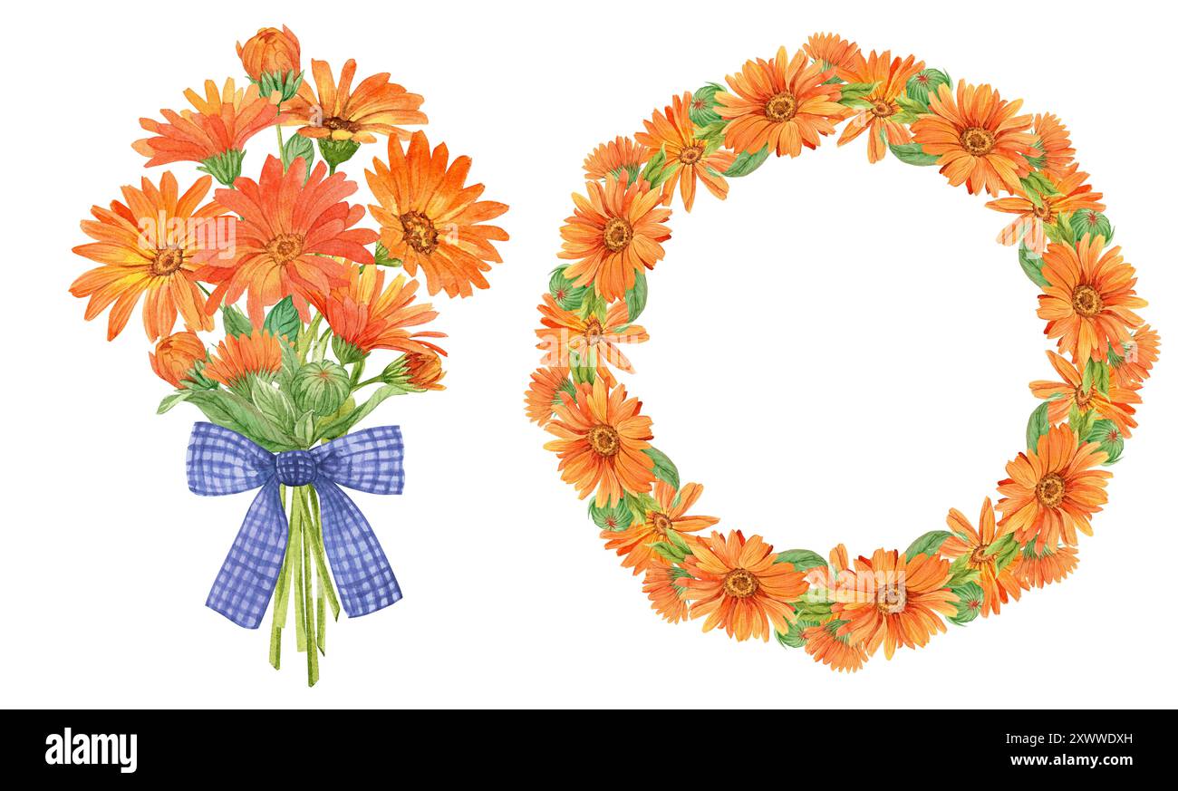 Corona, bouquet di calendule arancioni. Il concetto di laboratorio domestico per la produzione di tè. Foto Stock