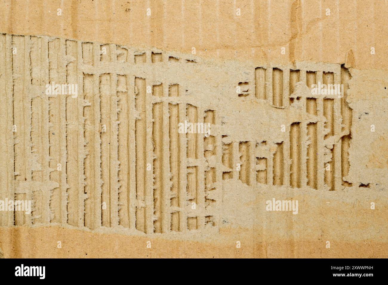 Una scatola di cartone con un foro. Il foro si trova al centro della scatola ed è circondato da alcuni pezzi di cartone. La casella sembra essere stata o. Foto Stock