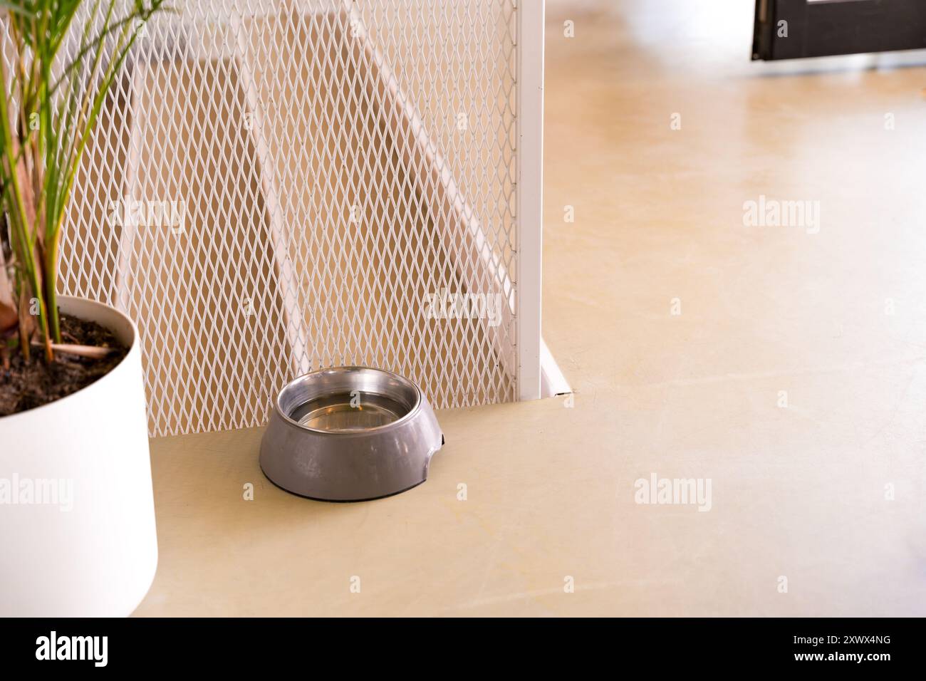 Una ciotola d'acqua per cani situata vicino a una grande pianta al coperto in un elegante caffè di Praga. La ciotola si trova vicino all'ingresso, offrendo un tocco accogliente per gli animali domestici. Foto Stock