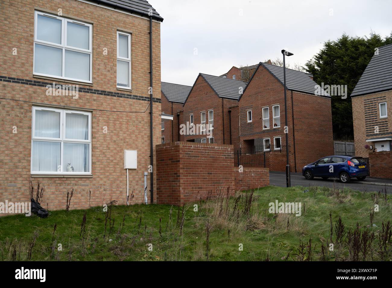 Immagine di un moderno sviluppo abitativo a Newcastle upon Tyne. Dispone di case in mattoni con tetti piastrellati e prati verdi. Rappresenta la crescita, la comunità e i nuovi inizi nella vita urbana. Foto Stock