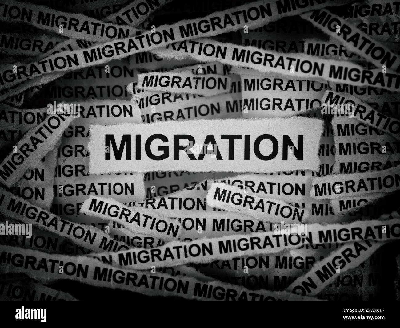 Strisce di giornali con le parole Migration. Bianco e nero. Primo piano. Foto Stock