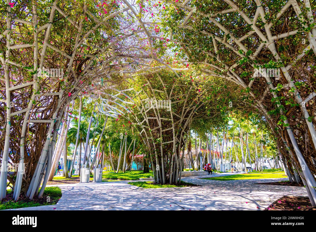 Gateway Bouquets - baldacchini verdi / pergole piantate con bouganvillaea forniscono ombra al Soundscape Park, Miami Beach, Florida, Stati Uniti Foto Stock