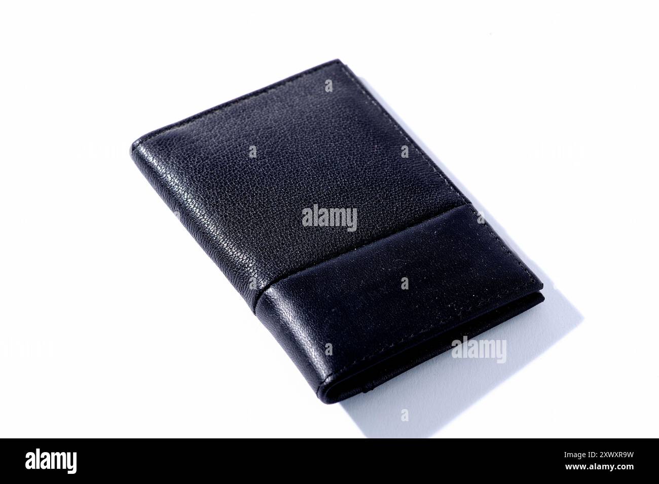 portafoglio, risparmi, finanza, business, economia, bilancio della famiglia, spese di sussistenza, spese correnti, banconote, pagamenti, pagamento in contanti Foto Stock