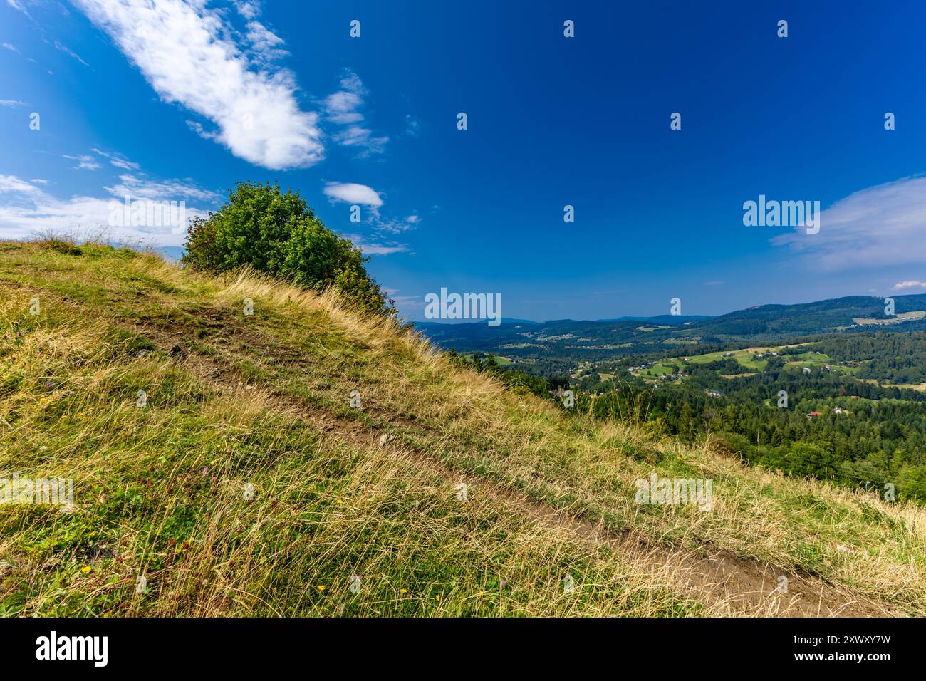 Vista delle montagne dei Beskids della Slesia dalla vetta Ochodzita, panorama della zona di Koniaków Foto Stock