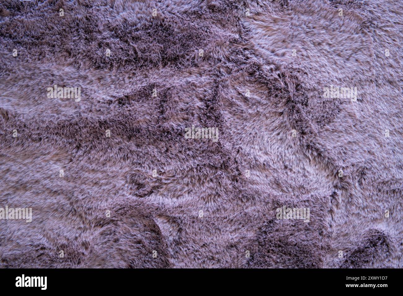 Moquette in fibra artificiale, morbida, viola. Vista dall'alto, primo piano, nessuna persona. Foto Stock
