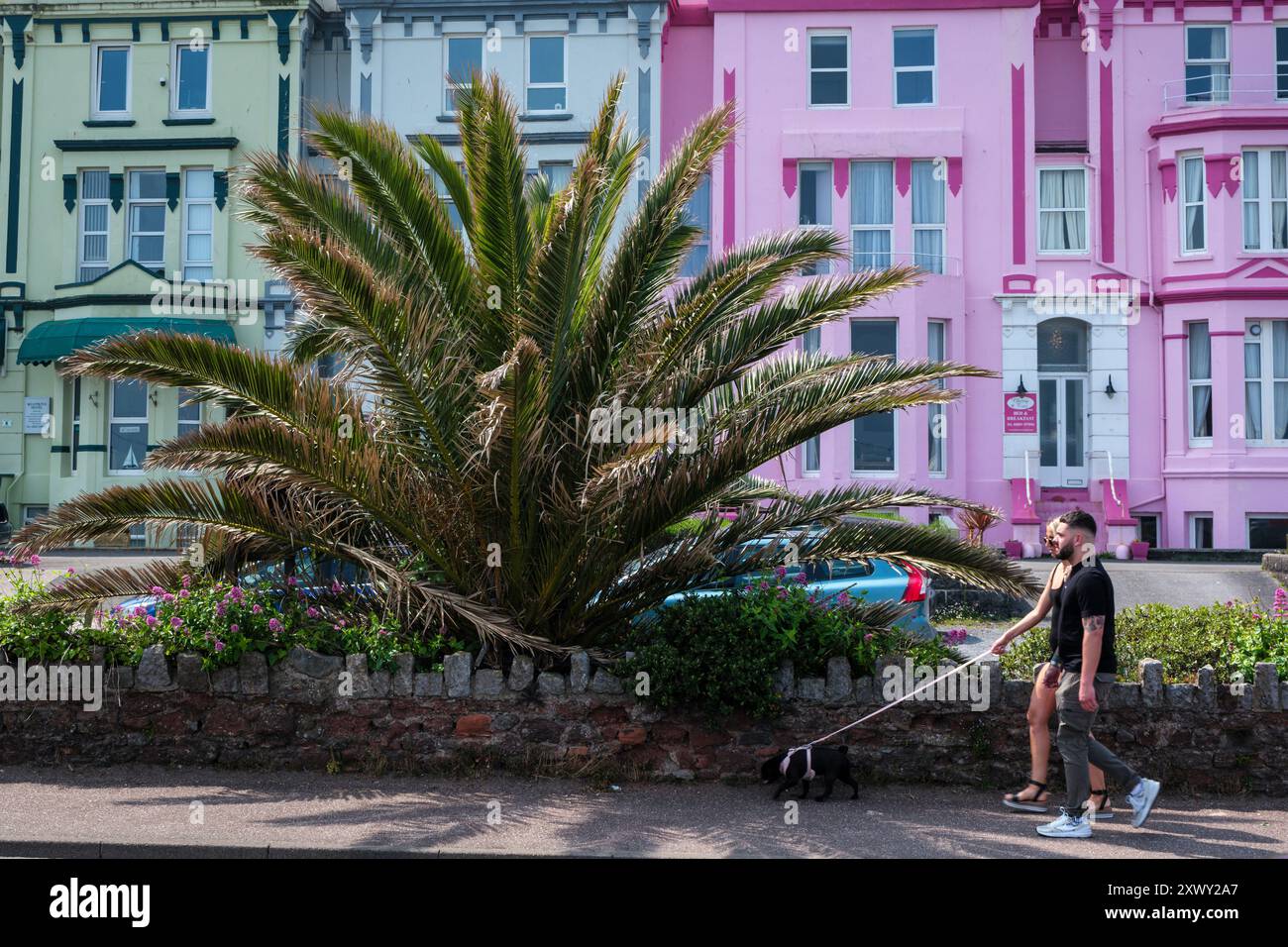 Colorati hotel sul lungomare di Paignton, Devon Foto Stock