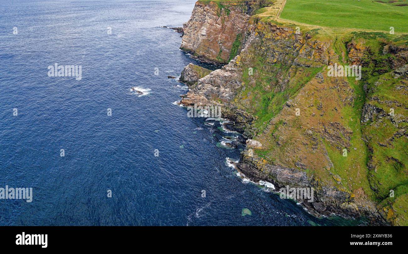 Troup Head, Moray Firth Scotland, guarda verso il promontorio e la colonia di gannet in estate Foto Stock