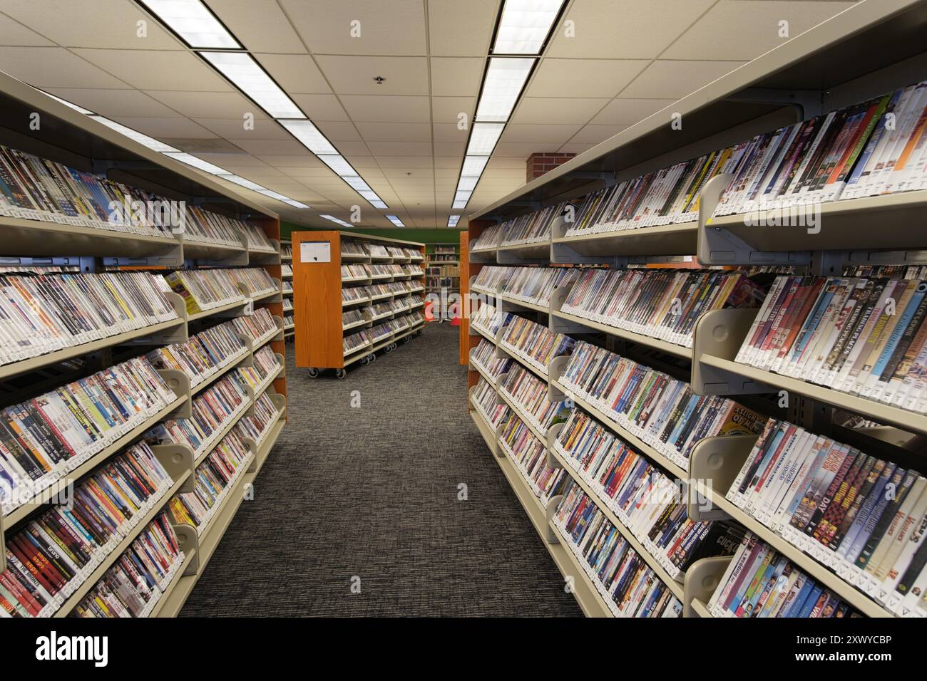 Scaffali con DVD presso la Ann Arbor District Library, Ann Arbor Michigan USA Foto Stock