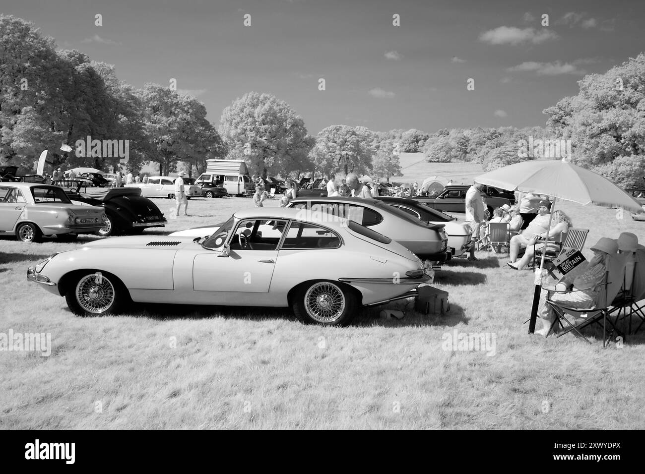 Jaguar e-TYPE Series One al Classics al Penshurst Car Show al Penshurst Place 18 agosto 2024 foto: Michael Cole Foto Stock