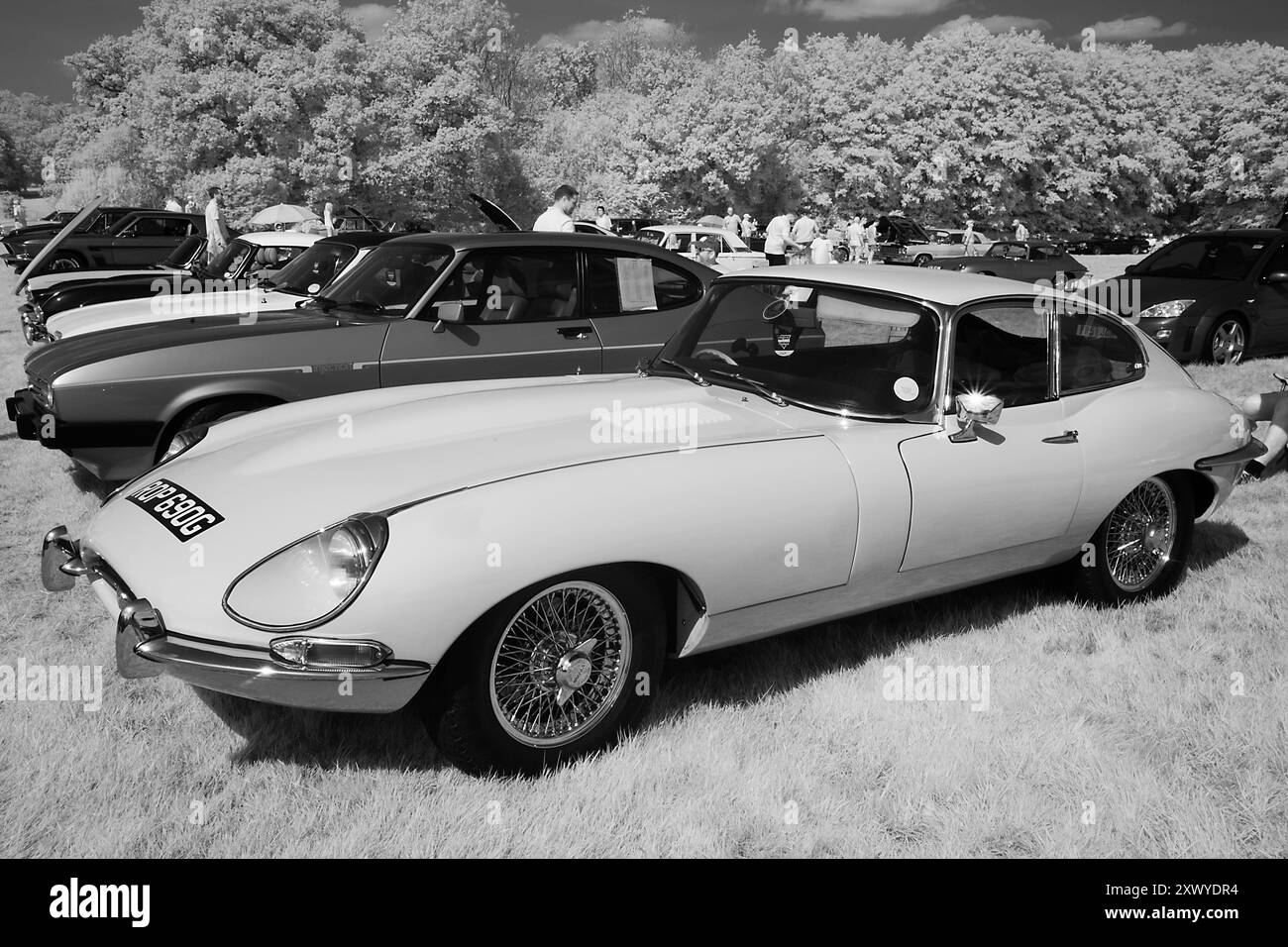 Jaguar e-TYPE FHC serie 2 al Classics al Penshurst Car Show al Penshurst Place 18 agosto 2024 foto: Michael Cole Foto Stock