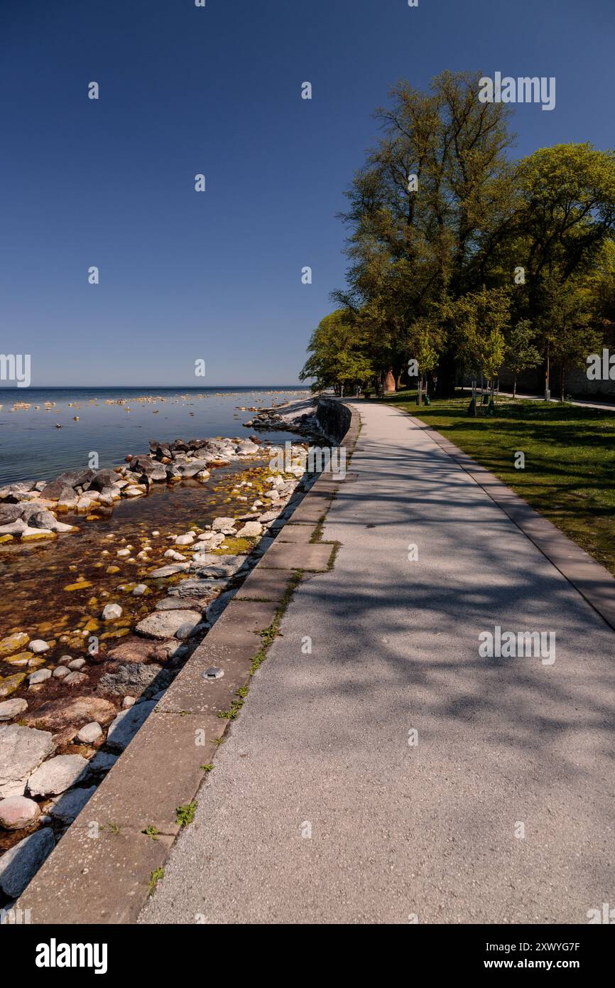 Riva del mare lungo la costa del Mar Baltico a Visby, Gotland, Svezia Foto Stock