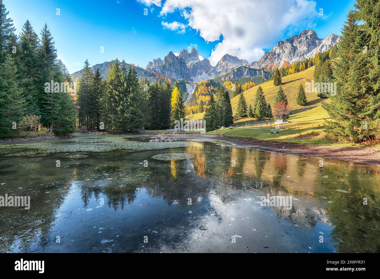 A Filzmoos si trovano splendide vedute delle montagne e delle valli con la foresta di larici e il lago. Ubicazione: Filzmoos, quartiere St. Johann im Pongau, Salisburgo Foto Stock