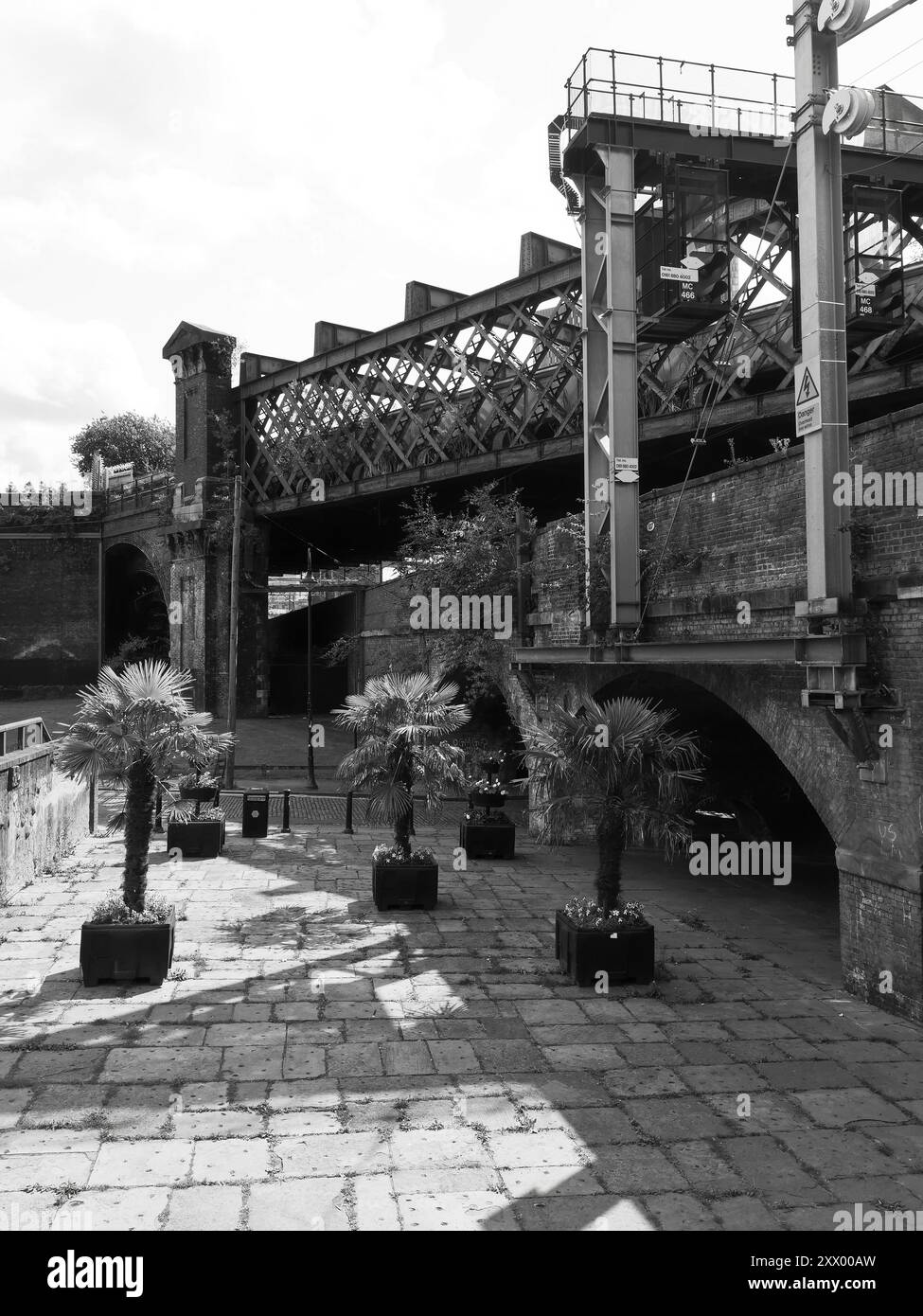 Castlefield Viaduct, una struttura vittoriana ora sito del National Trust con un'area giardino in cima da godere. Manchester, Inghilterra. 20 agosto 2024. Foto Stock