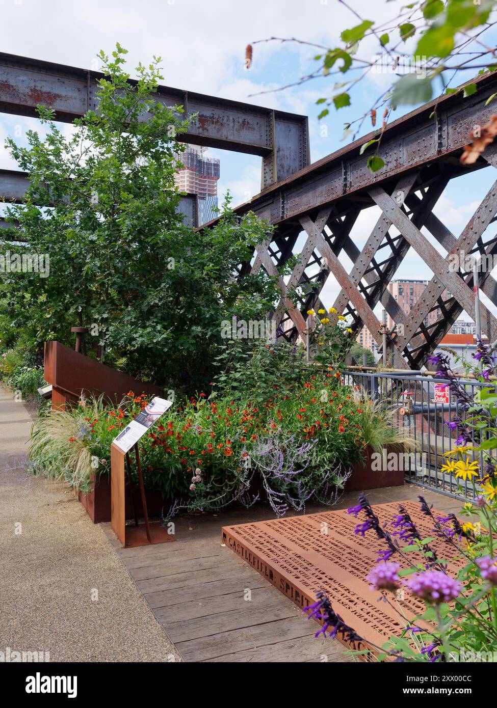 Area giardino in cima al Castlefield Viaduct, una struttura vittoriana ora sito del National Trust. Manchester, Inghilterra. 20 agosto 2024 Foto Stock