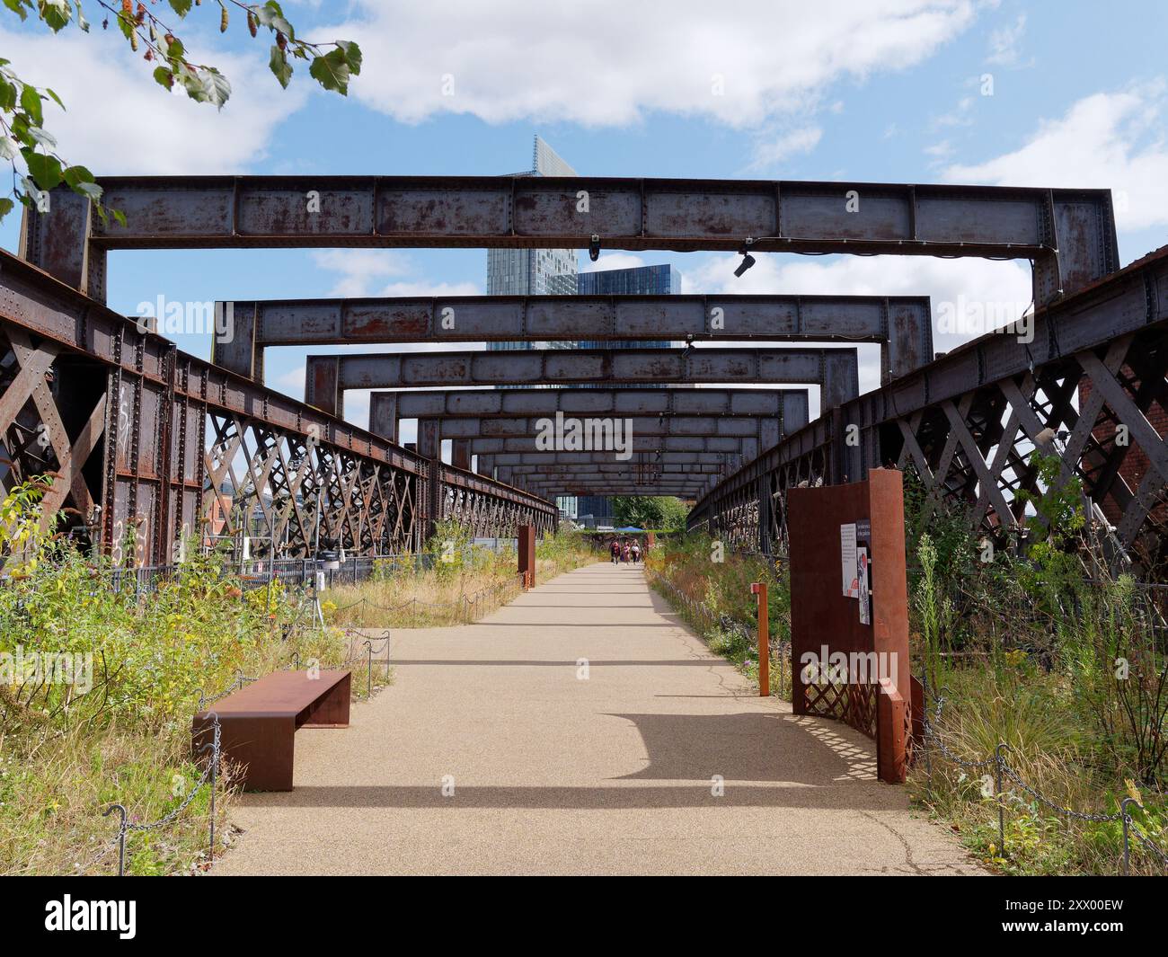 Area giardino in cima al Castlefield Viaduct, una struttura vittoriana ora sito del National Trust. Manchester, Inghilterra. 20 agosto 2024 Foto Stock
