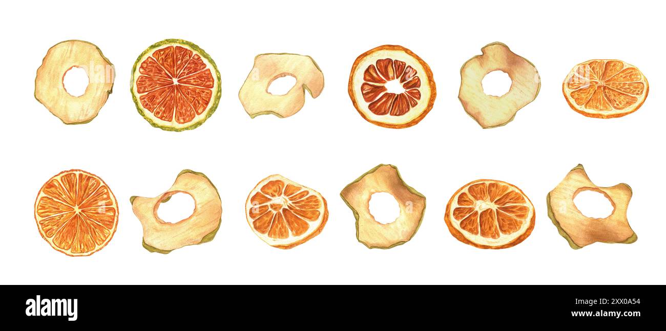 Patatine di mele e fette di arancia, clip art per illustrazioni ad acquerello. Secchi naturale organico Sweeet snack sano cibo vegan set. Ingrediente per la cucina Foto Stock